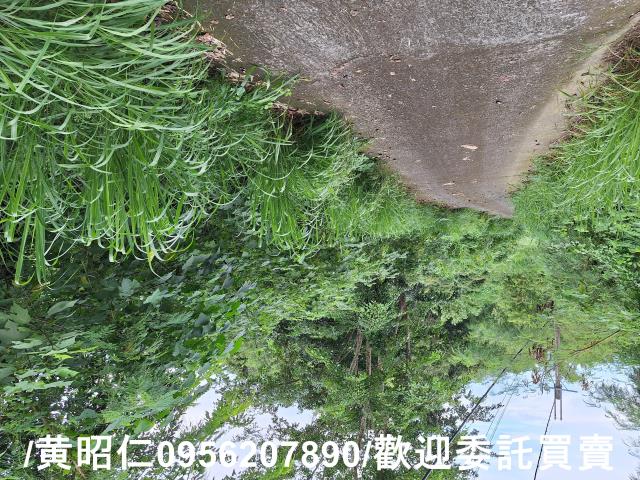 台南左鎮農地-8