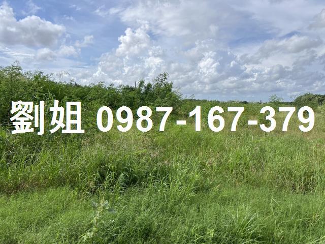 燕巢農地-1