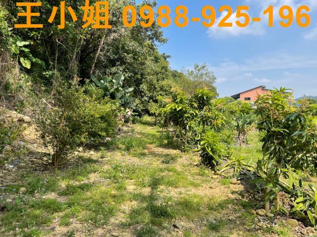 龍潭農地-4