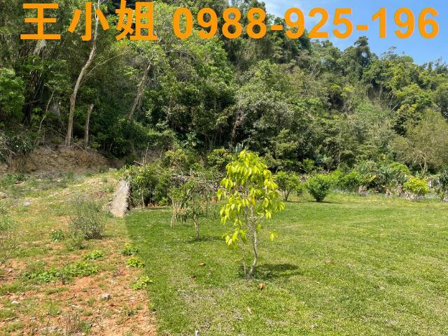 龍潭農地-5
