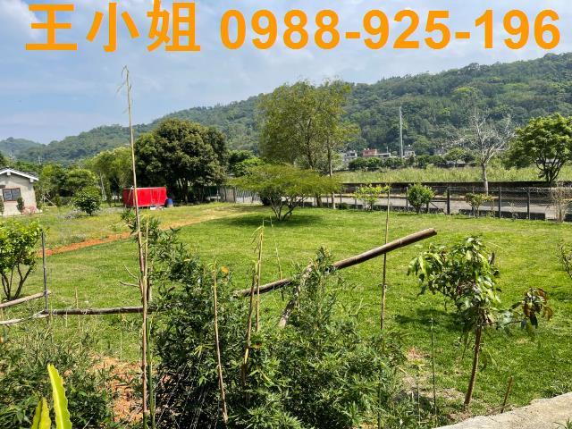 龍潭農地-6