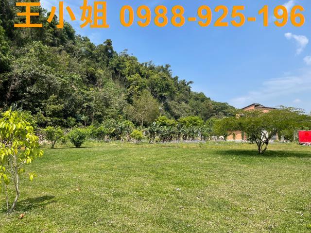 龍潭農地-8