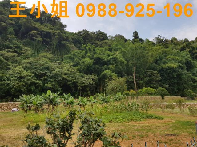 龍潭農地-9