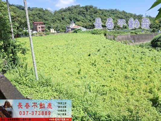 公館農地-1