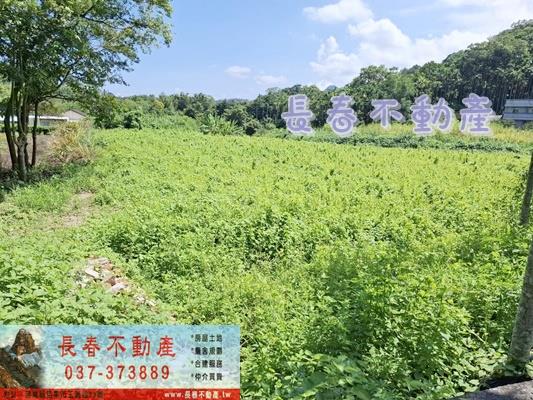 公館農地-2