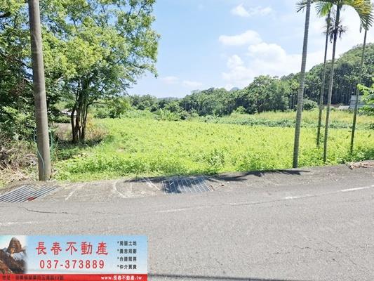 公館農地-4