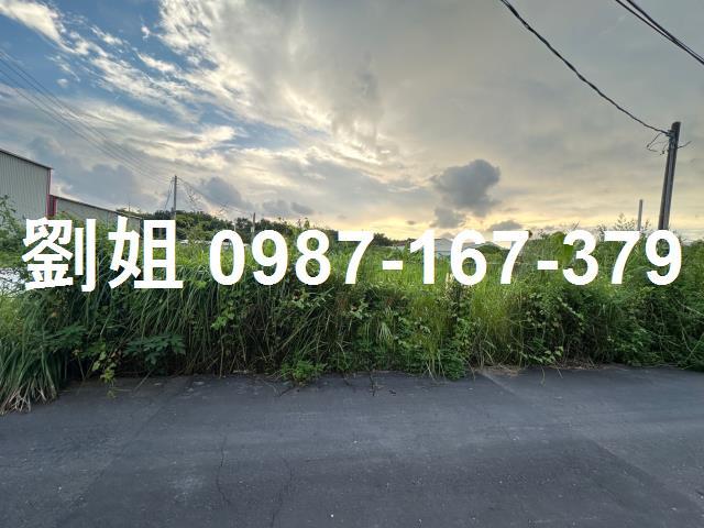 高雄仁武農地-1
