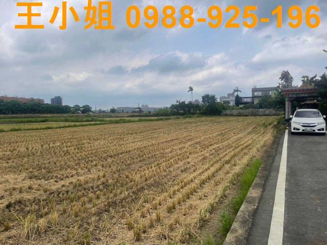 桃園農地-3