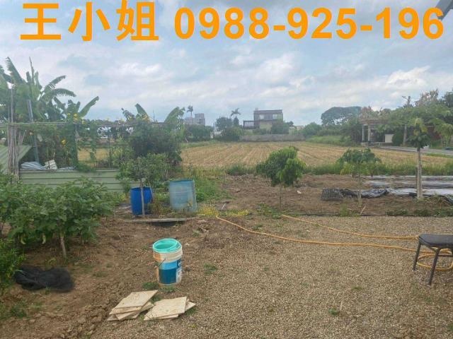 桃園農地-6
