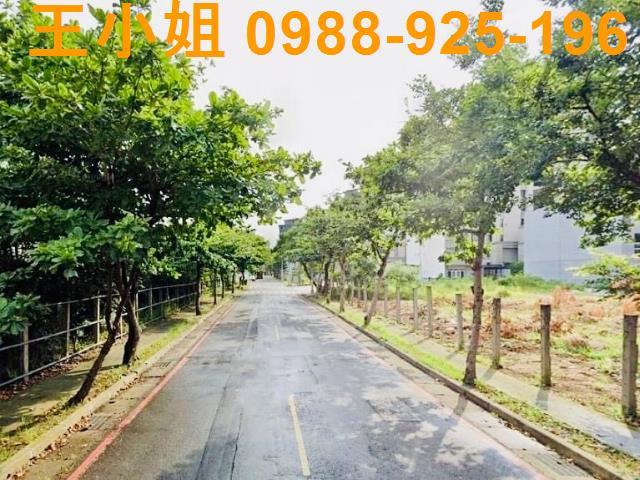 桃園建地-4