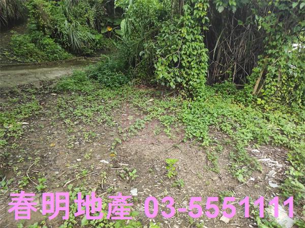 新竹農地-12