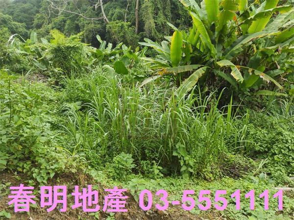 新竹農地-13