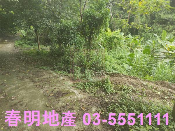 新竹農地-2