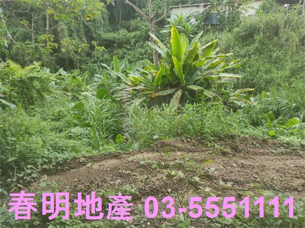新竹農地-4