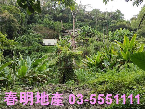 新竹農地-5