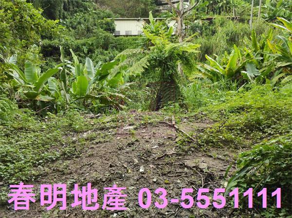 新竹農地-6