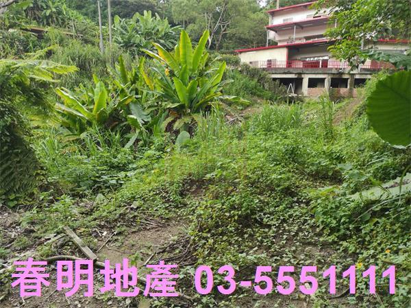 新竹農地-7