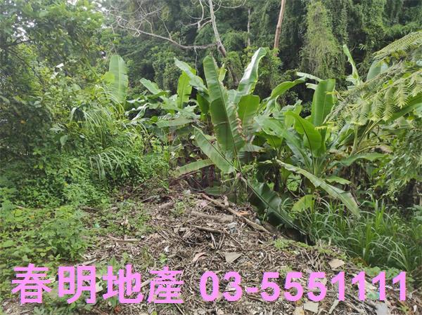 新竹農地-8