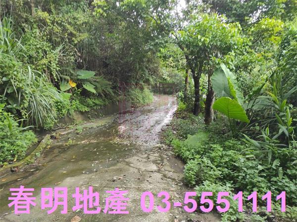 新竹農地-9
