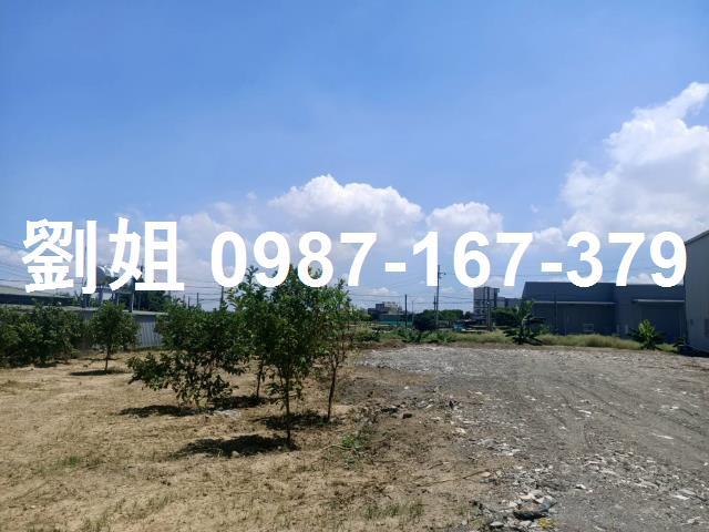 湖內農地-1