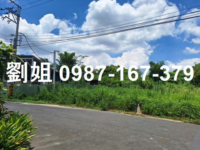仁武農地-1