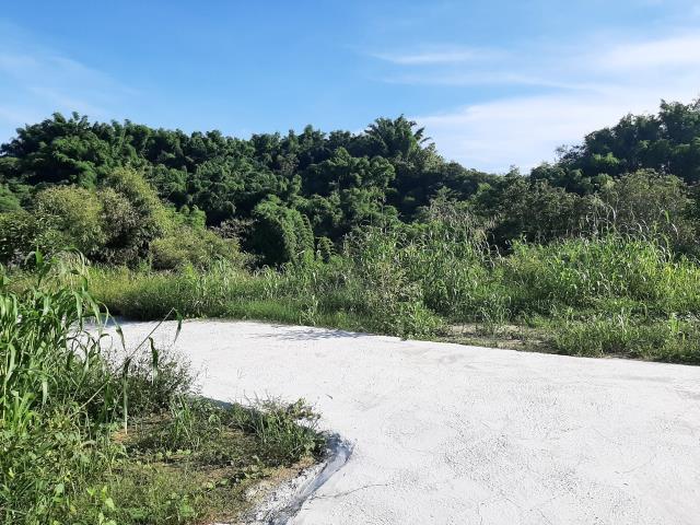 左鎮農地-8