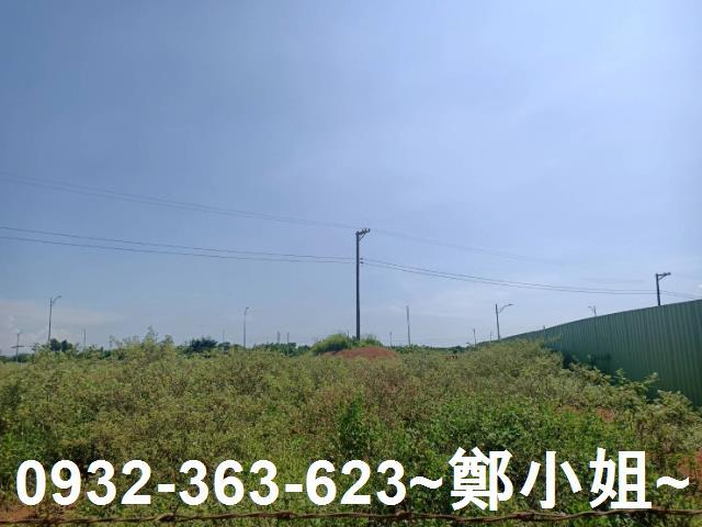 桃園建地-9