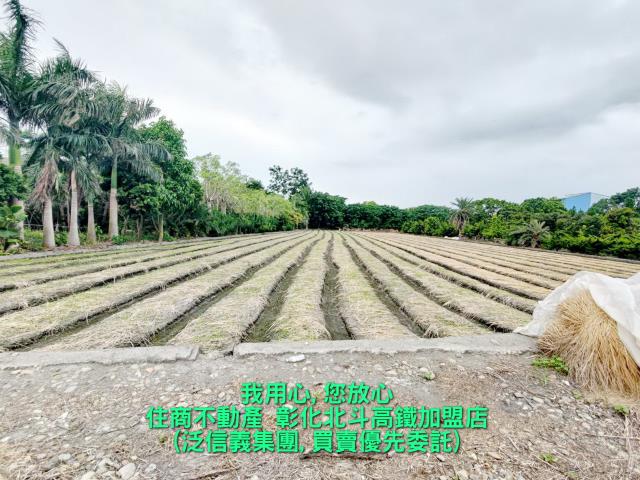 溪州農地-1