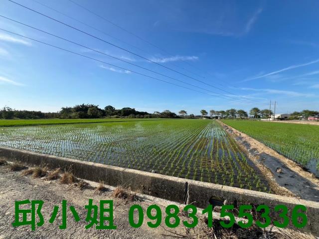 太保農地-2