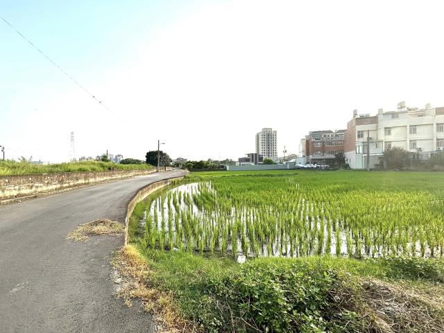 台中農地-6