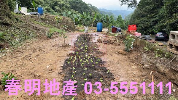 新竹芎林農地-1