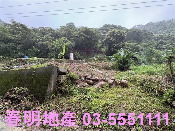 新竹芎林農地-2