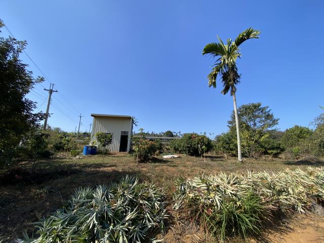 南投市農地-6