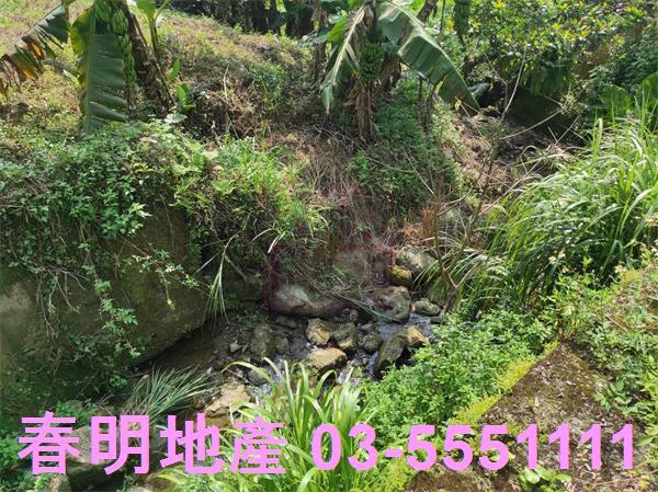 橫山農地-3