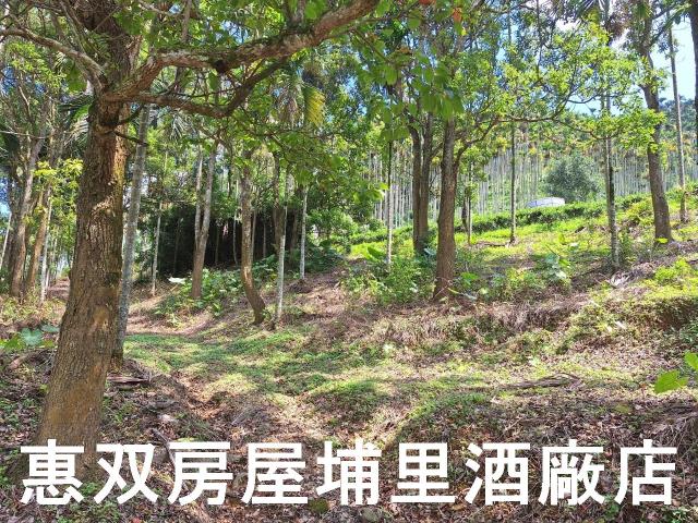 南投農地-1