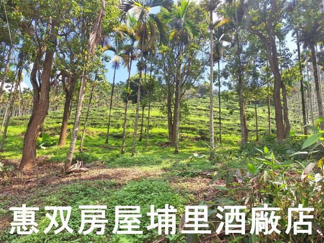 南投農地-2