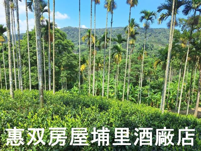 南投農地-4