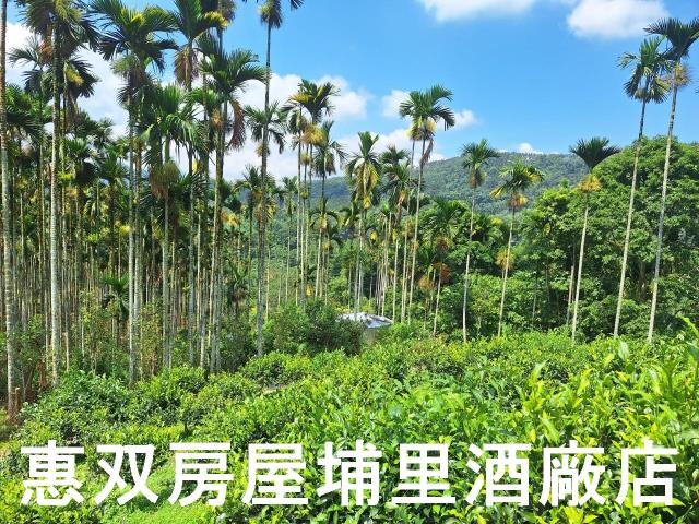 南投農地-5