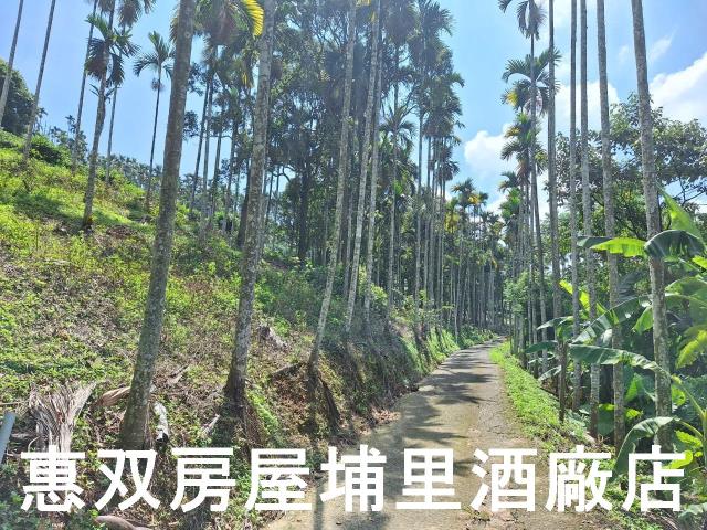 南投農地-6