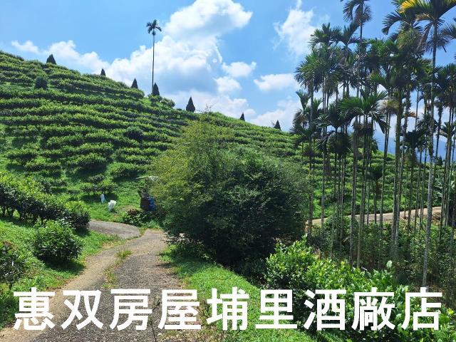 南投農地-7