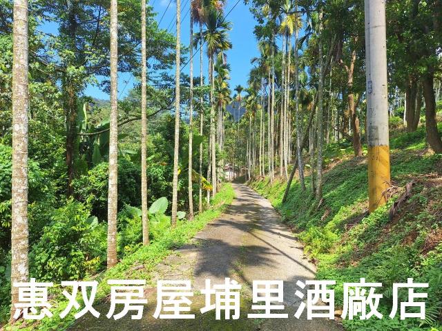 南投農地-8