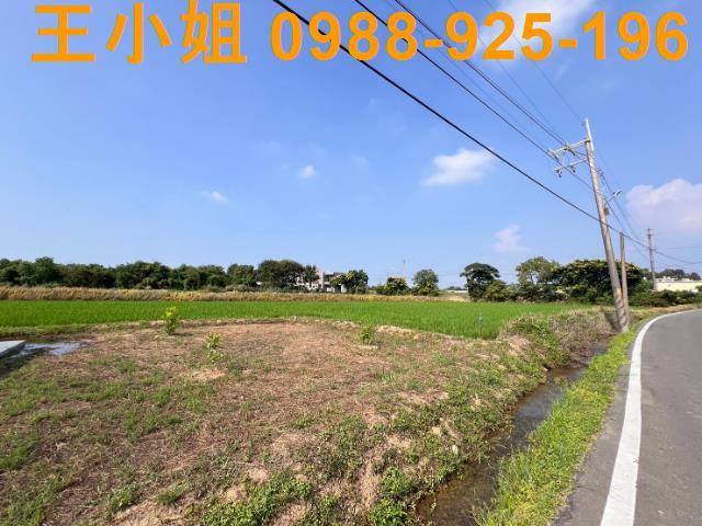 桃園農地-2