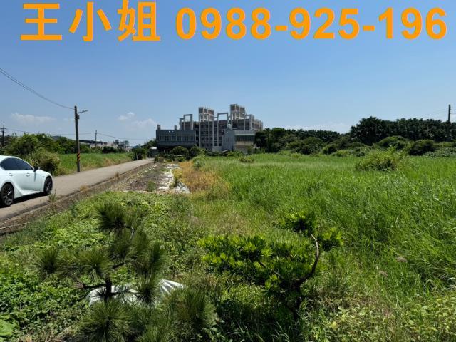 桃園農地-4