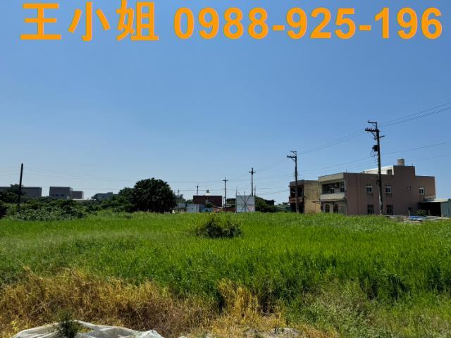 桃園農地-5