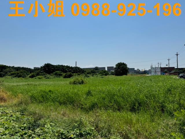 桃園農地-6