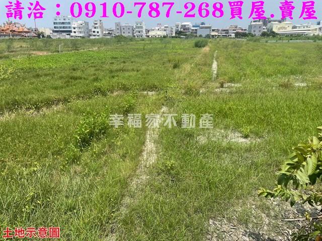 台南農地-11