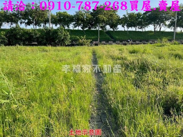 台南農地-3