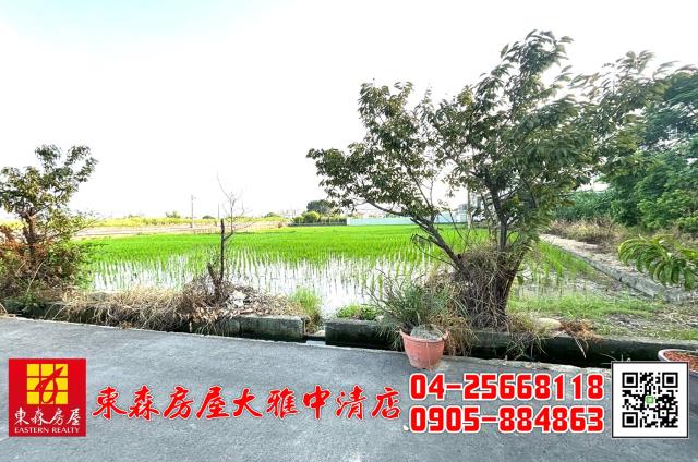 台中大雅農地-4