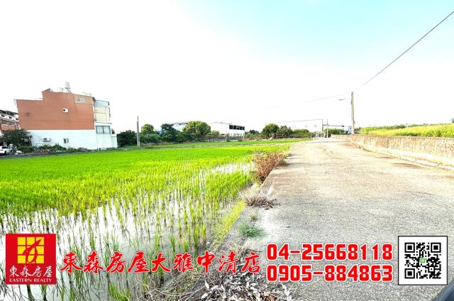 台中大雅農地-9