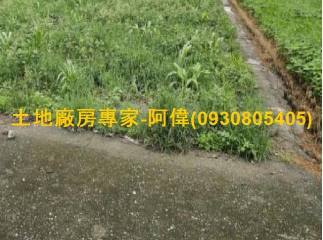 高雄大寮農地-1